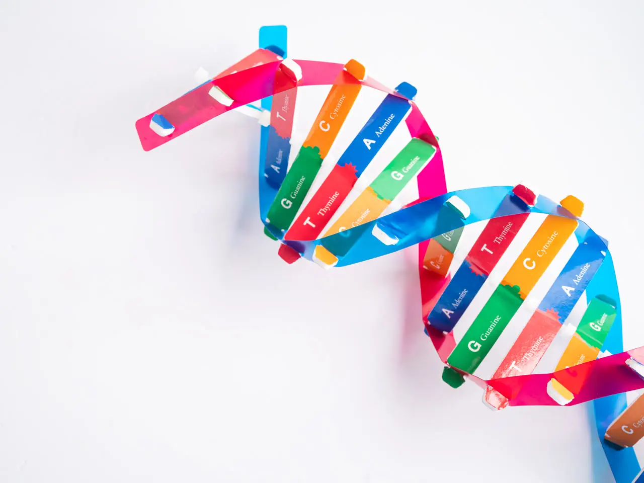 Genetic Testing